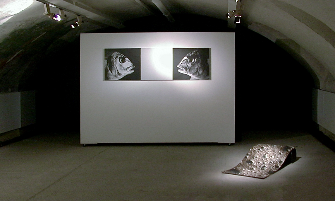 Foto virate, Foto, 2000, Galerie Vrais Reves, Lione