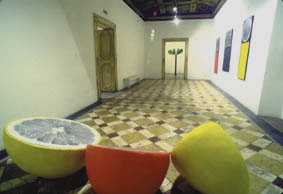 Nataly Maier, Dittici, First one-man show, 1992, Gallery L'Attico – Rome