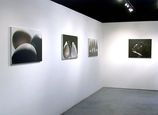 Tinted photos, Photographs, 2000, Galerie Vrais Reves, Lyone