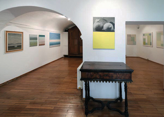 Pregnanza del colore, Vista della mostra