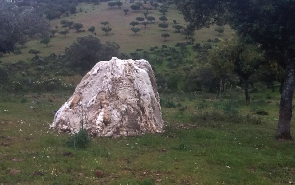 Simposio Internacional de la Lana, Arreciado (Spagna), 2013