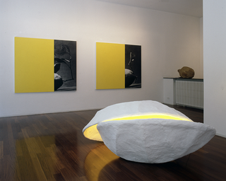 In res naturae, Installation view