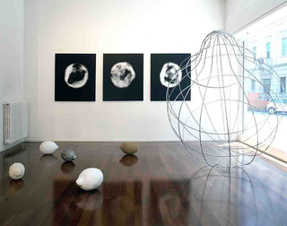 In res naturae, Installation view