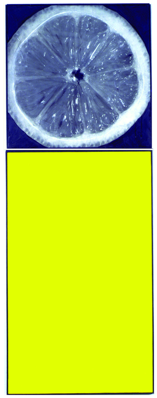 Dittici – foto/colore, Limone,1992, foto e pigmento su tela