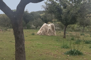 Simposio Internacional de la Lana, Costruzione di ferro con lana di pecore