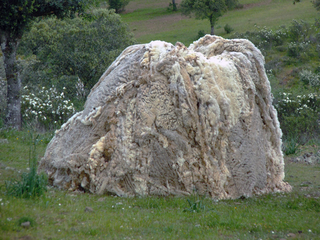 Simposio Internacional de la Lana, Structure of iron and wool