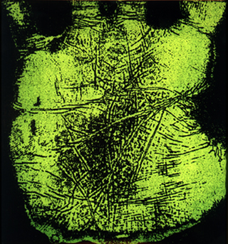 Handmaps, HandMap, 1995