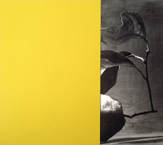 In res naturae, Limone, photograph on aluminium and acrylic on canvas, diptych, 160×175 cm