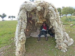 Simposio Internacional de la Lana, All'interno dell'igloo di lana, Arreciado, 2013