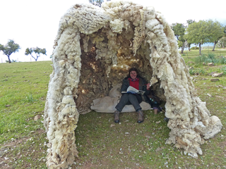 Simposio Internacional de la Lana, Igloo of wool, inside, Arreciado, 2013