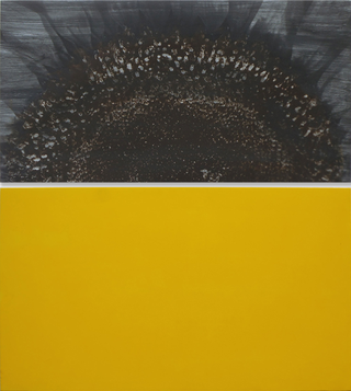 Dittici – foto/colore, Girasole, 1995, foto e pigmento su tela, 150×170 cm