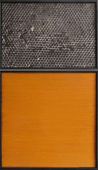 Diptych, photo/colour, Honeycomb, 1992